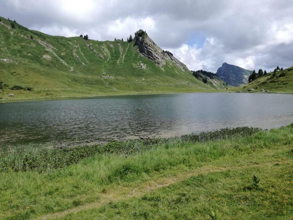 Le Genepi Leilighet Taninges Eksteriør bilde